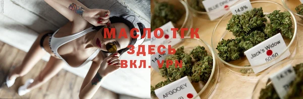 крисы Дмитровск