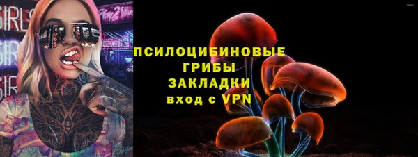 крисы Дмитровск