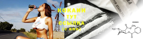 крисы Дмитровск