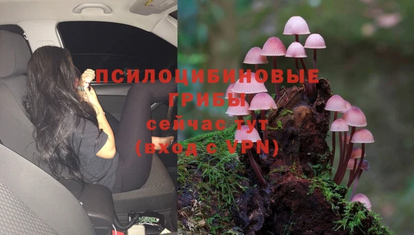 крисы Дмитровск