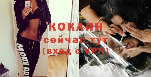 шишки Дмитров