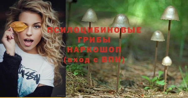 мяу мяу кристалл Дмитриев