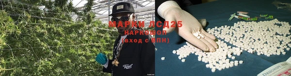 шишки Дмитров