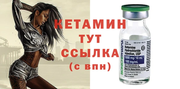 шишки Дмитров